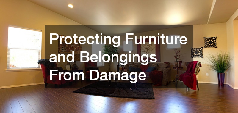 Protecting Furniture and Belongings From Damage