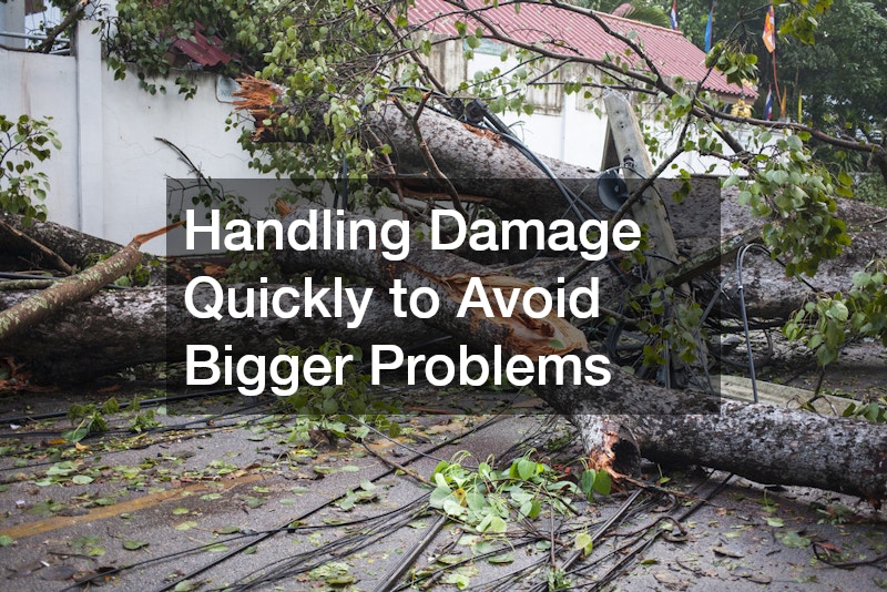Handling Damage Quickly to Avoid Bigger Problems