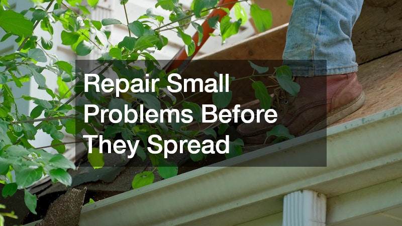 Repair Small Problems Before They Spread