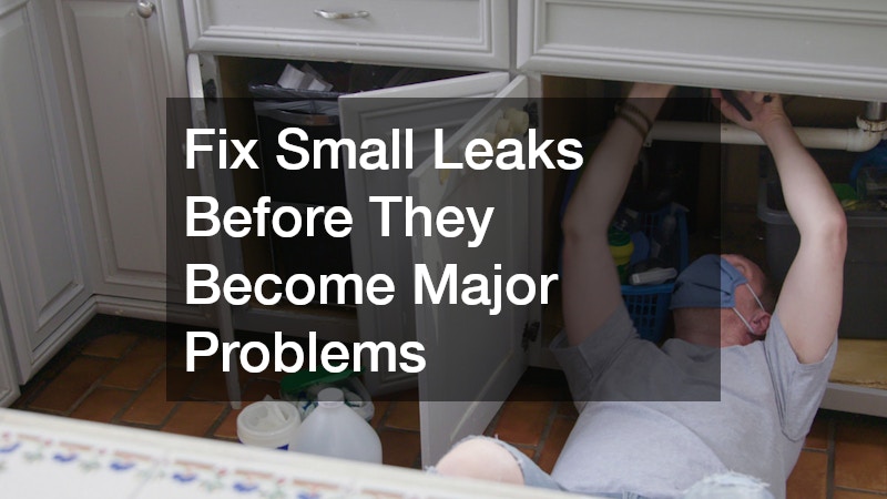 Fix Small Leaks Before They Become Major Problems