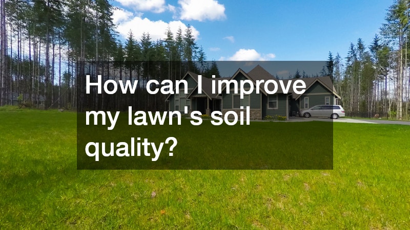How can I improve my lawn