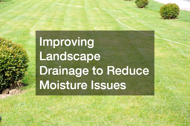 Improving Landscape Drainage to Reduce Moisture Issues