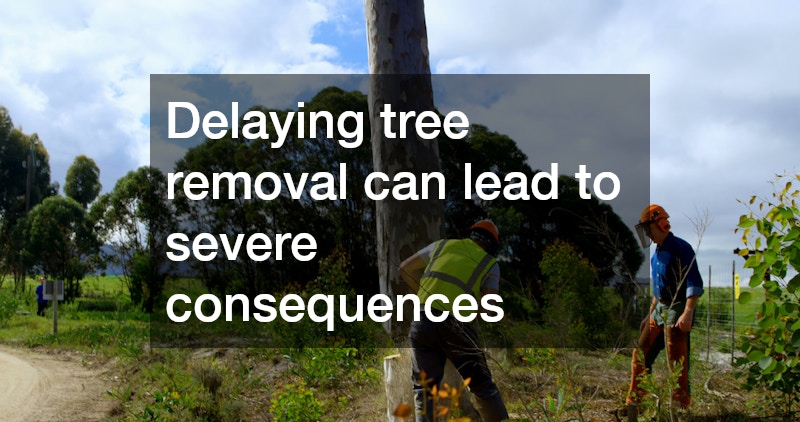 Delaying tree removal can lead to severe consequences