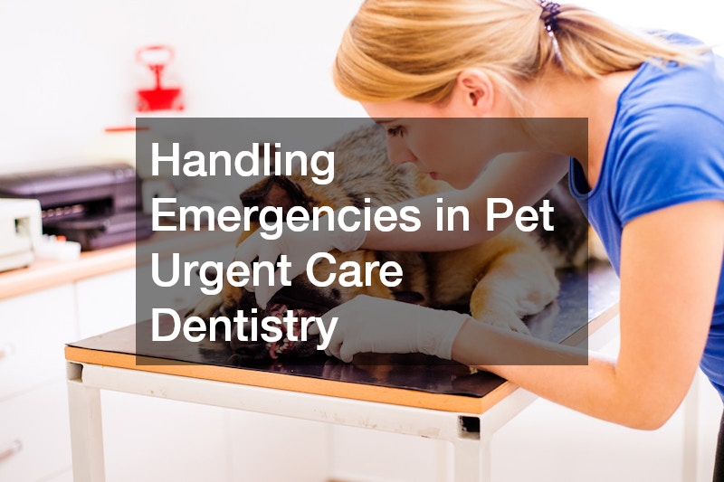 Handling Emergencies in Pet Urgent Care Dentistry