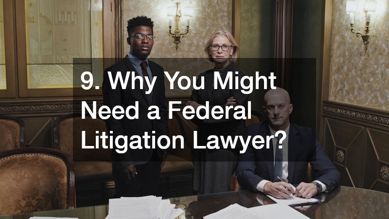 9. Why You Might Need a Federal Litigation Lawyer?