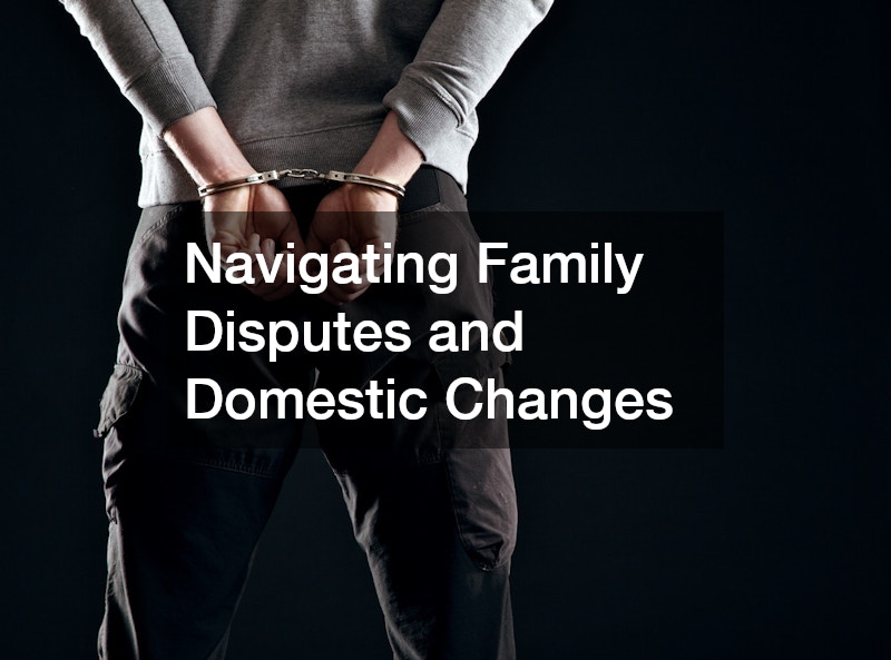 Navigating Family Disputes and Domestic Changes