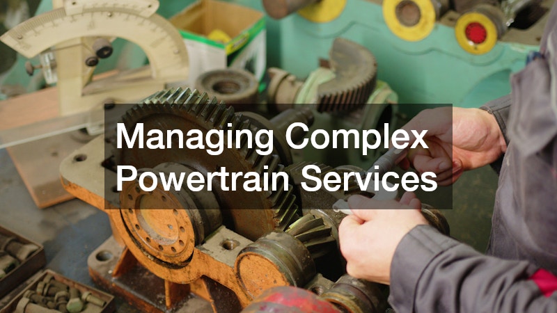 Managing Complex Powertrain Services