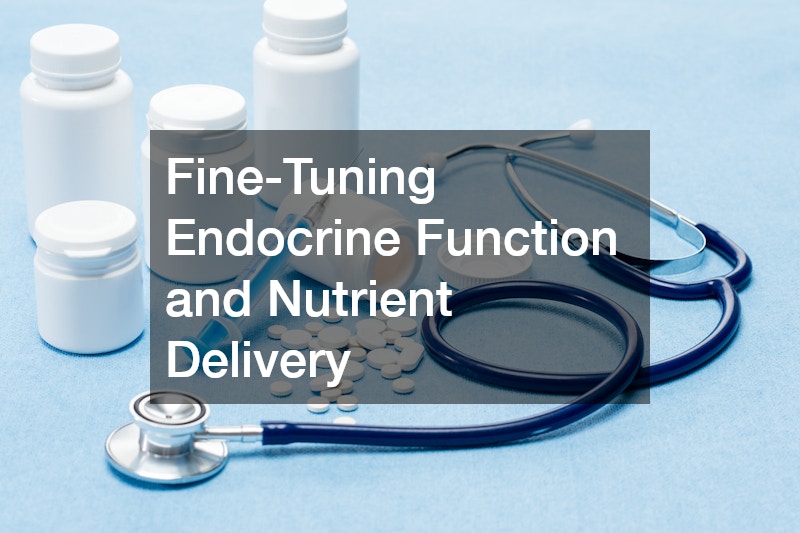 Fine-Tuning Endocrine Function and Nutrient Delivery
