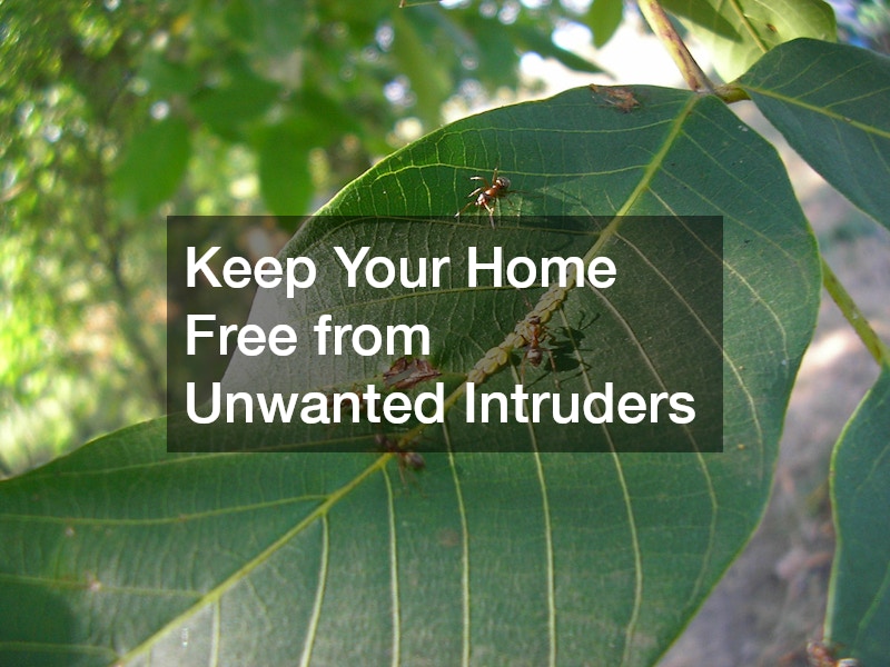 Keep Your Home Free from Unwanted Intruders