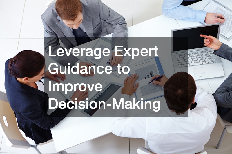 Leverage Expert Guidance to Improve Decision-Making