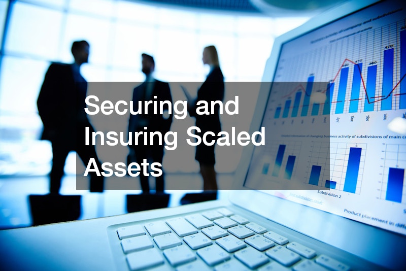 Securing and Insuring Scaled Assets