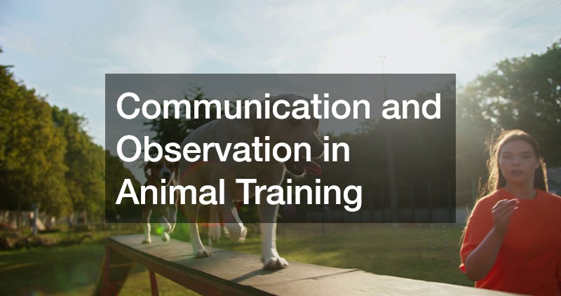Communication and Observation in Animal Training