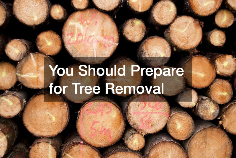 You Should Prepare for Tree Removal