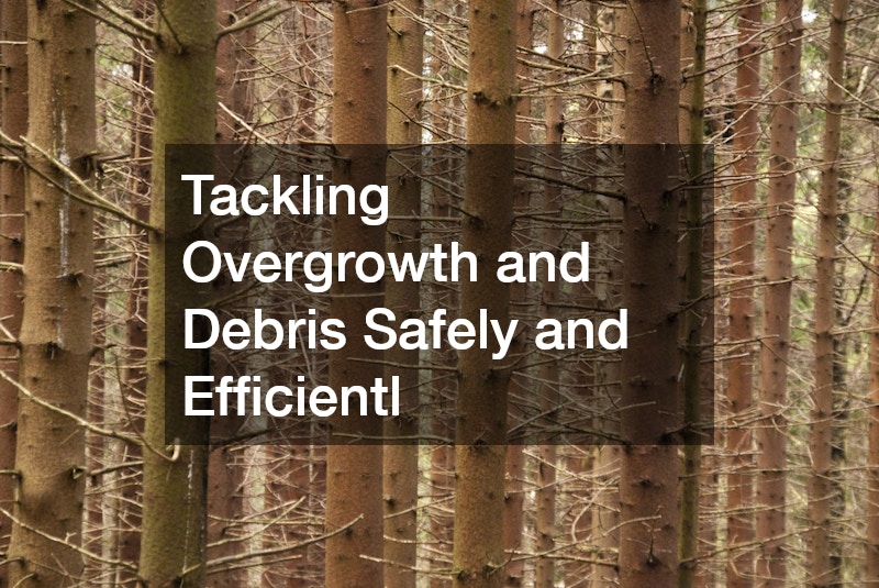 Tackling Overgrowth and Debris Safely and Efficientl