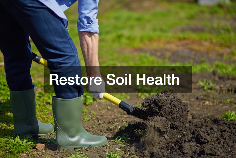 Restore Soil Health