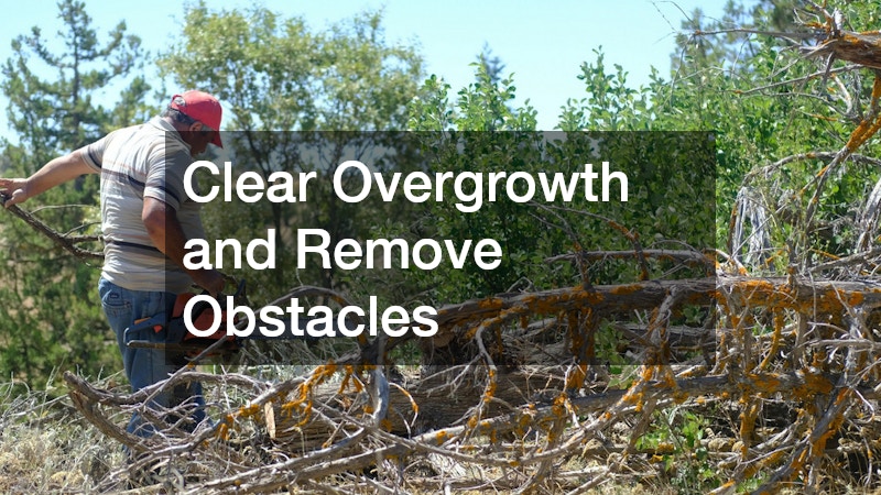 Clear Overgrowth and Remove Obstacles