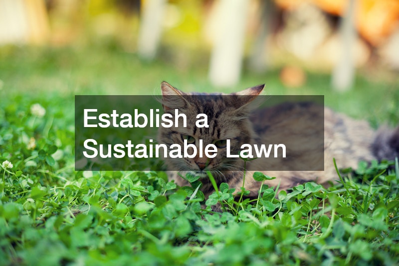 Establish a Sustainable Lawn