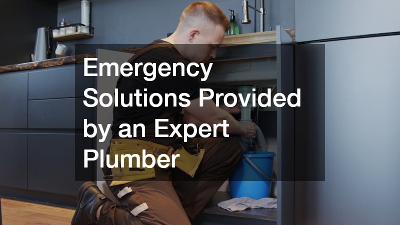 Emergency Solutions Provided by an Expert Plumber