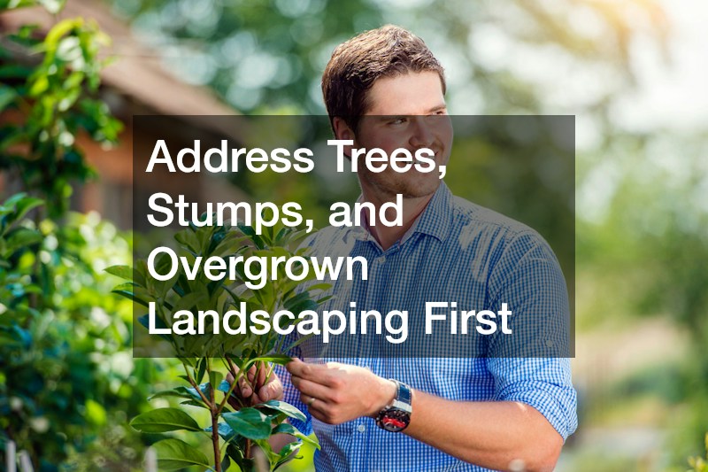 Address Trees, Stumps, and Overgrown Landscaping First