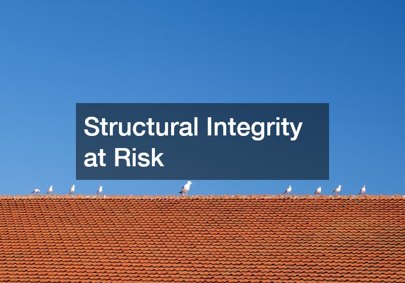 Structural Integrity at Risk