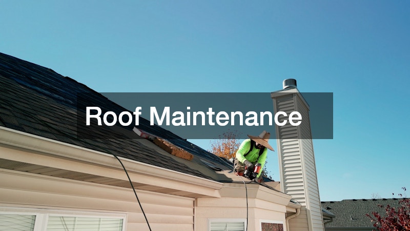 Roof Maintenance