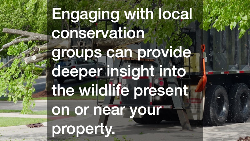 Engaging with local conservation groups can provide deeper insight into the wildlife present on or near your property.