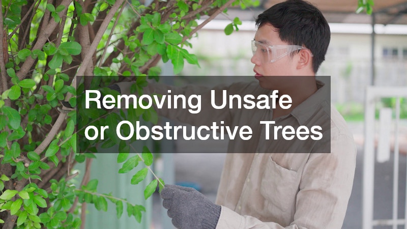 Removing Unsafe or Obstructive Trees
