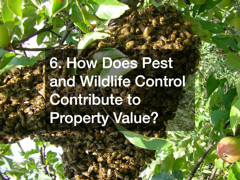 6. How Does Pest and Wildlife Control Contribute to Property Value?