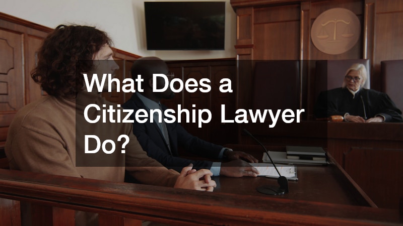 What Does a Citizenship Lawyer Do?