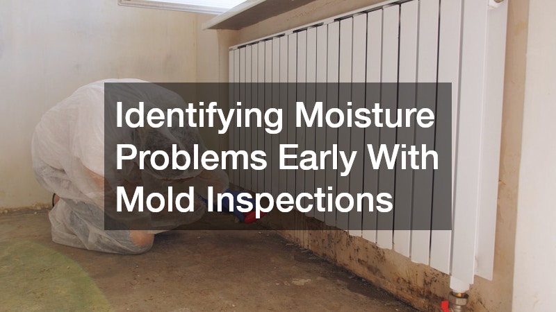 Identifying Moisture Problems Early With Mold Inspections