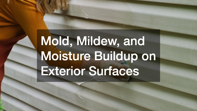 Mold, Mildew, and Moisture Buildup on Exterior Surfaces
