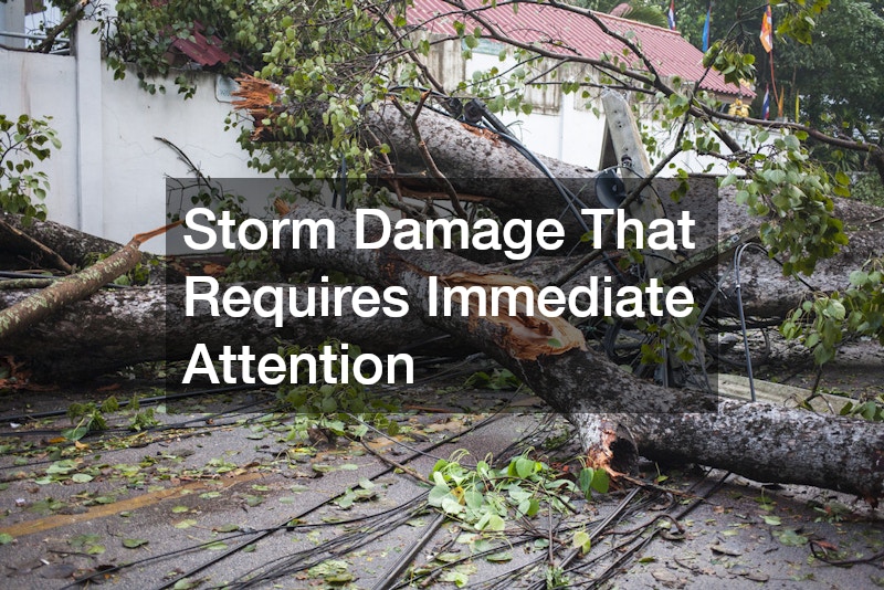 Storm Damage That Requires Immediate Attention