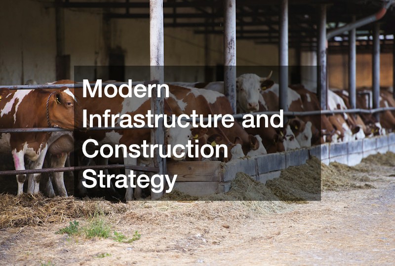Modern Infrastructure and Construction Strategy