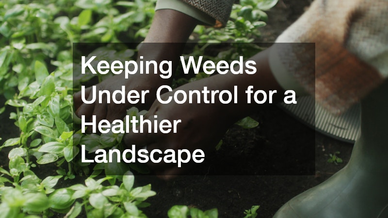 Keeping Weeds Under Control for a Healthier Landscape