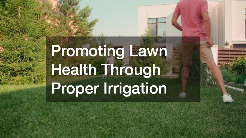 Promoting Lawn Health Through Proper Irrigation