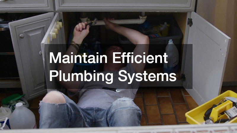 Maintain Efficient Plumbing Systems