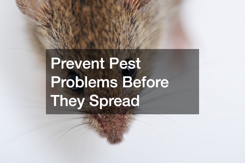 Prevent Pest Problems Before They Spread