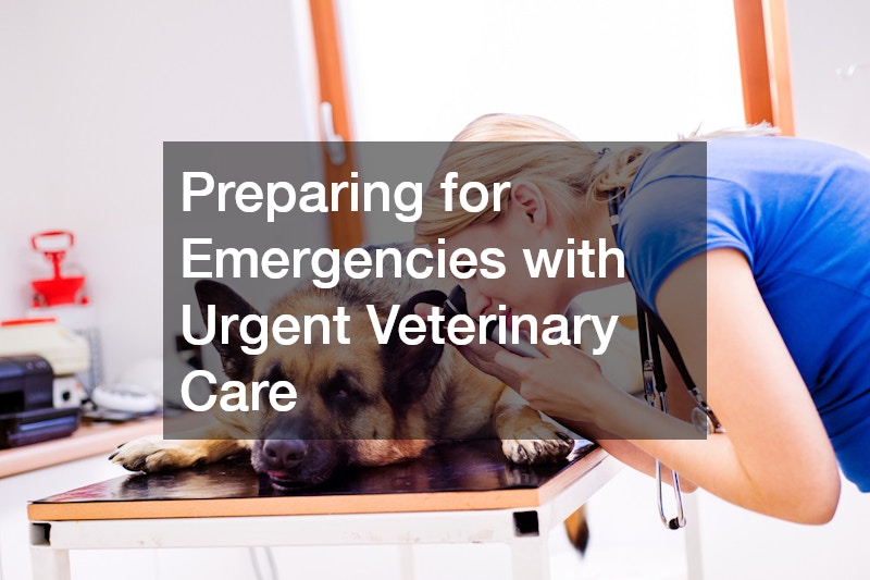 Preparing for Emergencies with Urgent Veterinary Care