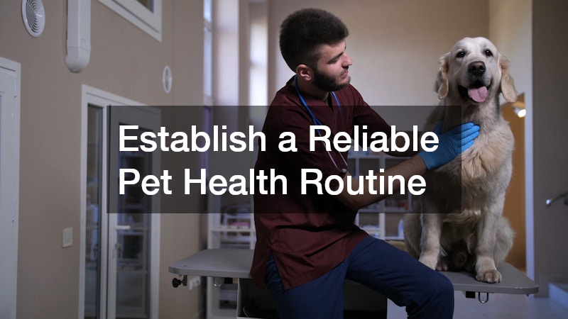 Establish a Reliable Pet Health Routine