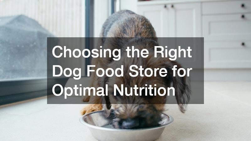 Choosing the Right Dog Food Store for Optimal Nutrition