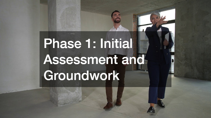 Phase 1: Initial Assessment and Groundwork