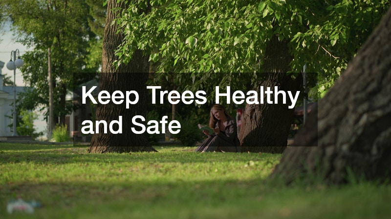 Keep Trees Healthy and Safe