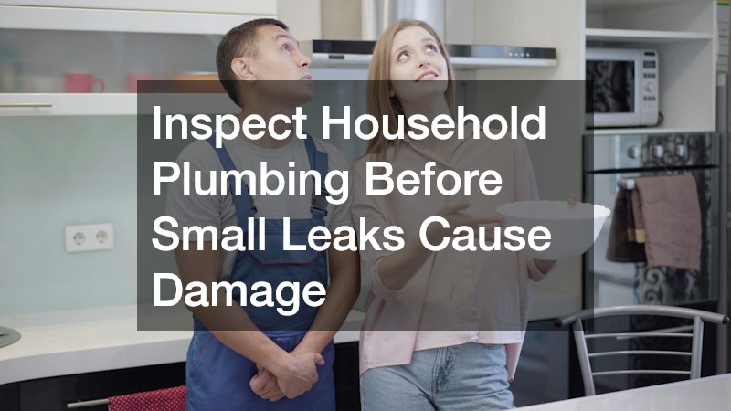 Inspect Household Plumbing Before Small Leaks Cause Damage