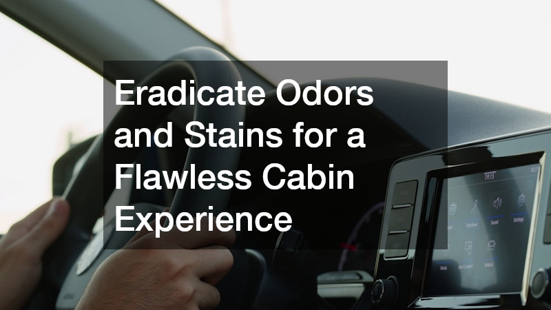 Eradicate Odors and Stains for a Flawless Cabin Experience