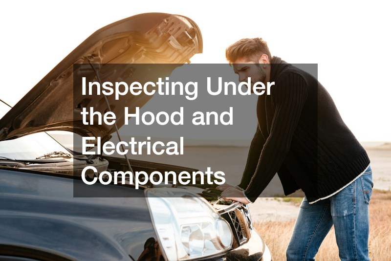 Inspecting Under the Hood and Electrical Components