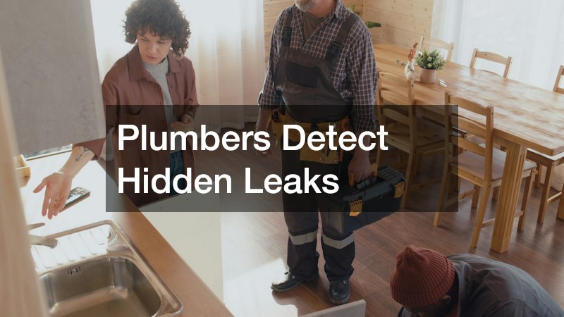 Plumbers Detect Hidden Leaks