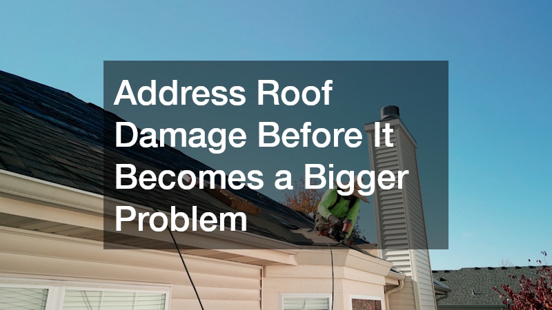 Address Roof Damage Before It Becomes a Bigger Problem