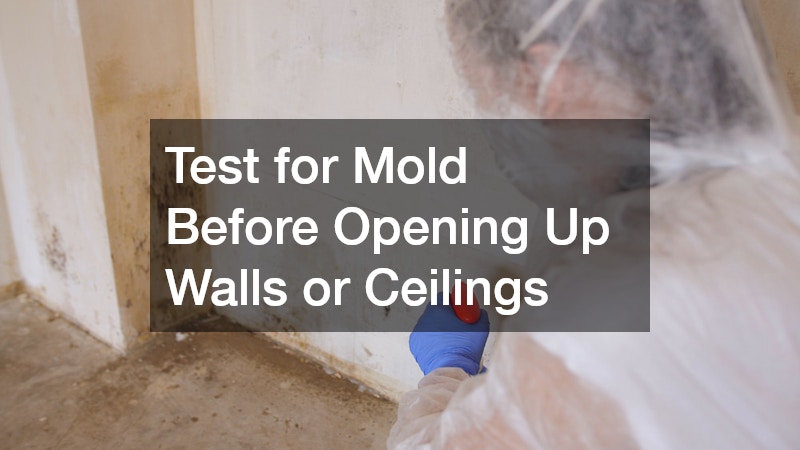 Test for Mold Before Opening Up Walls or Ceilings