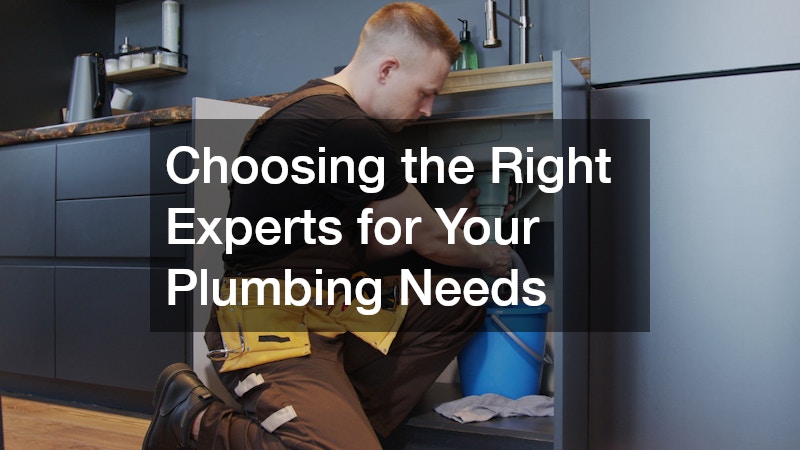 Choosing the Right Experts for Your Plumbing Needs