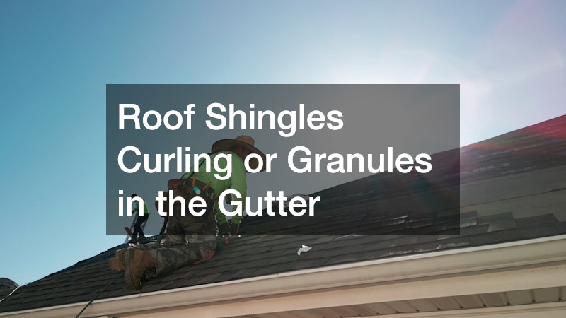 Roof Shingles Curling or Granules in the Gutter